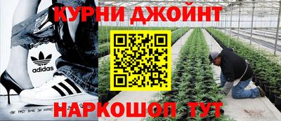PSILOCYBIN Кимры