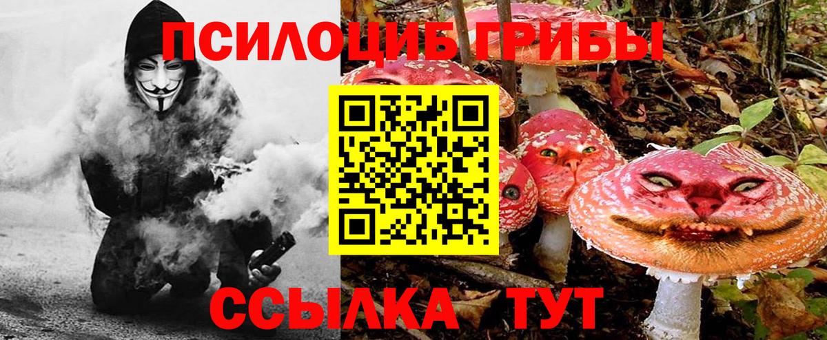 Кропоткин  купить   Вход с VPN  Галлюциногенные грибы ЛСД 