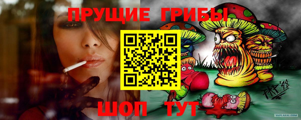 Псилоцибиновые грибы Psilocybine cubensis Кропоткин